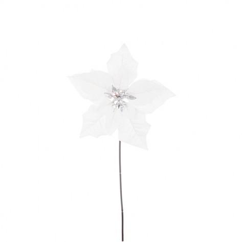 BOŽIĆNA ZVIJEZDA FLORIS H45 BIJ. BIZ