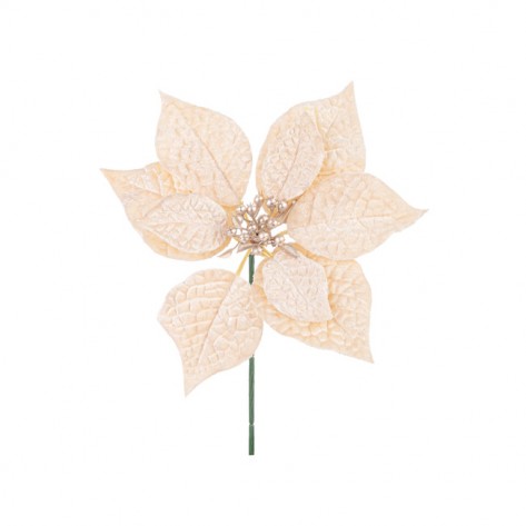 BOŽIĆNA ZVIJEZDA JANEL H22 CHAM. BIZ