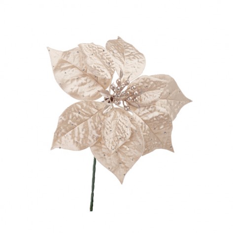 BOŽIĆNA ZVIJEZDA JULIE H22 BEŽ BIZ