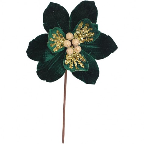 MAGNOLIJA ASTERIA 18X25H ZEL. BIZ