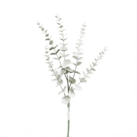 EUKALIPTUS GRANA H74CM ZEL. EDE