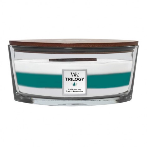 SVIJEĆA WW TRILOGY ELIPSE ICY WOODLAND 1720901E LI