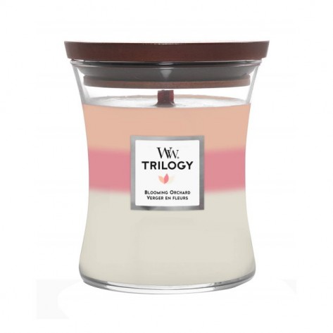 SVIJEĆA WW TRILOGY MEDIUM BLOOMING OR. LIV