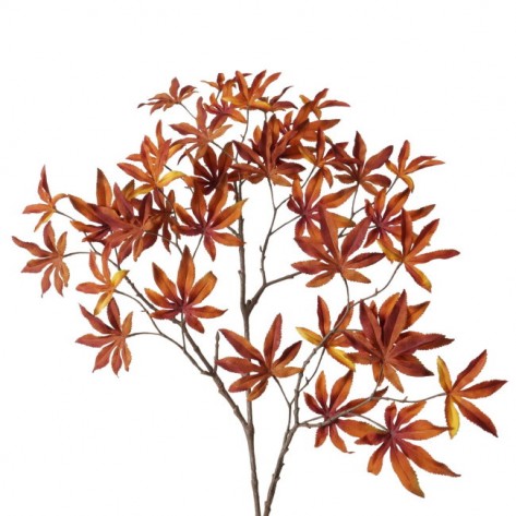 JAVOROVA GRANA 90CM BOL