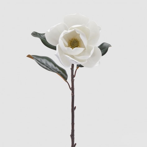 MAGNOLIJA SUPREME H73 B.BIJELA EDG