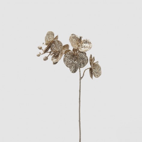 ORHIDEJA GRANA H60 GLIT.CHAM EDG