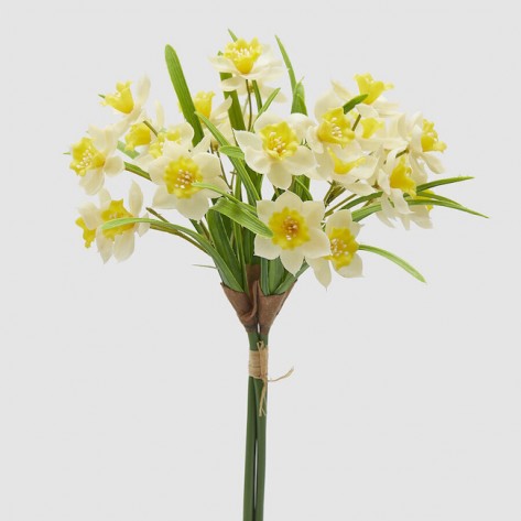NARCISI BUKET SA LISTOVIMA H38 BIJ/ŽUT EDG