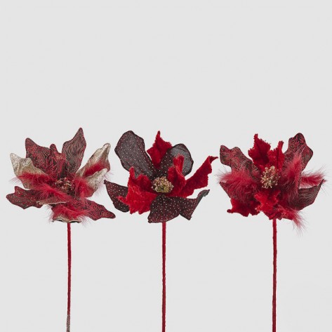 BOŽIĆNA ZVIJEZDA GRANA H53 SORT EDG