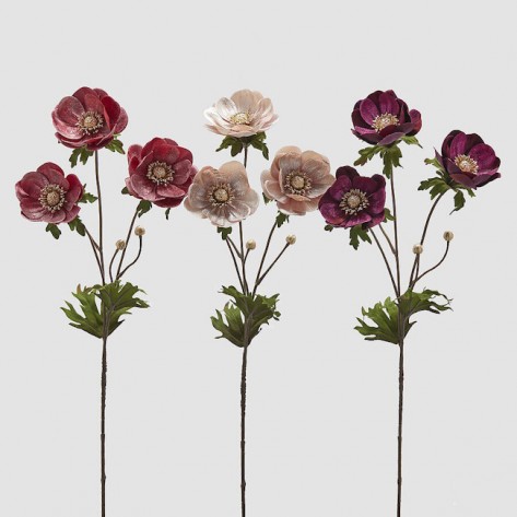 ANEMONA VELUR GRANA H80 SORT EDG