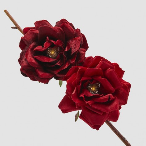 RUŽA VELUR NA ŠTIP. D25 CRV. SORT EDG