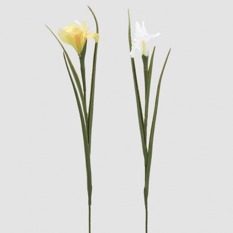 IRIS GRANA H70 BIJ/ŽUTA EDG