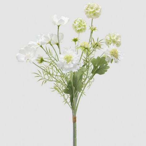 SCABIOSA CESPUGLIO BUKET H62 EDG