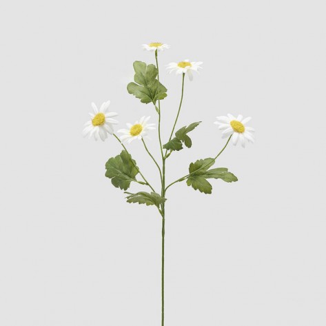 MARGERITA GRANA H65 BIJ. EDG