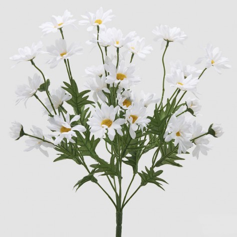 MARGERITA GRANA X7 H50 BIJELA EDG