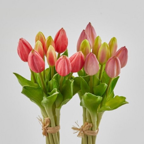 TULIPANI BUKET X9 H29 PINK EDG