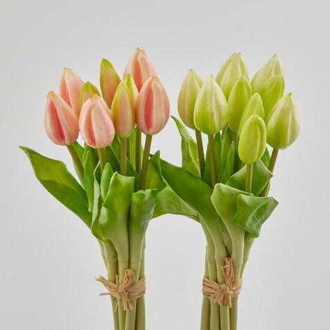 TULIPANI BUKET X9 H29 ZEL/PINK EDG