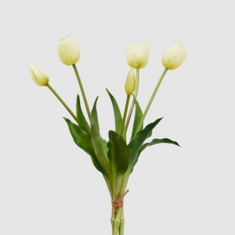 TULIPAN BUKET OLIS H40 BIJELI EDG