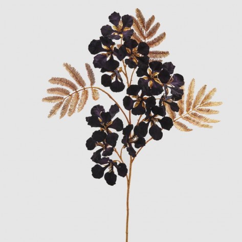 DELONIX GRANA STELO-OROI H107 CRNA EDG