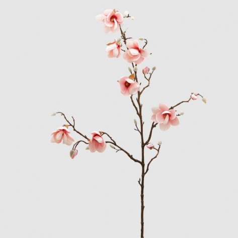 MAGNOLIA STELL. GRANA H120 PINK EDG