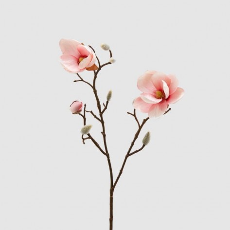 MAGNOLIA STELL. GRANA H53 PINK EDG