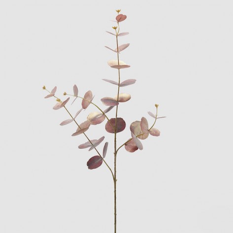 EUKALIPTUS GRANA H89 EDG