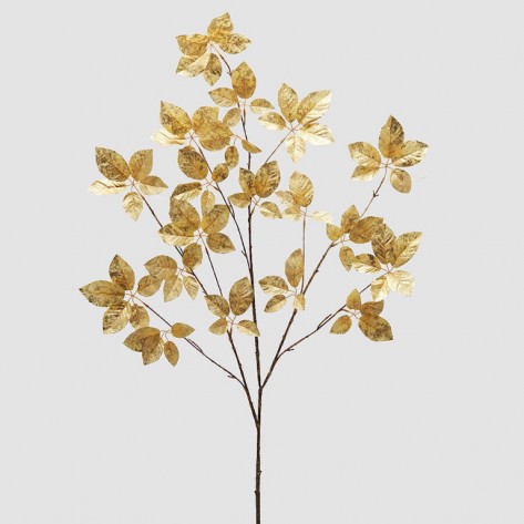 GRANA BUKVE H137 ZLAT. EDG