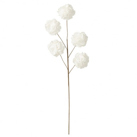 GRANA S 5 POMPONA H86 BIJ. JOL