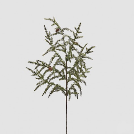 GRANA CRYPTOMERIA H44 ZEL. EDG