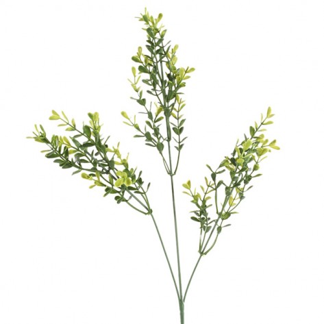 EUKALIPTUS GRANA X3 62CM DKO