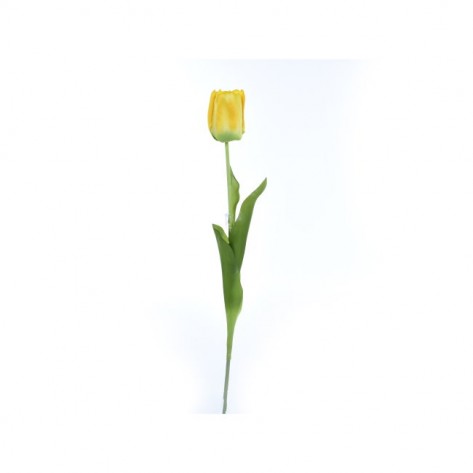 TULIPAN 64CM ŽUTI DKO