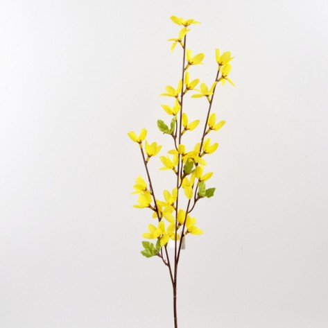 FORZICIJA GRANA X3 63CM DKO