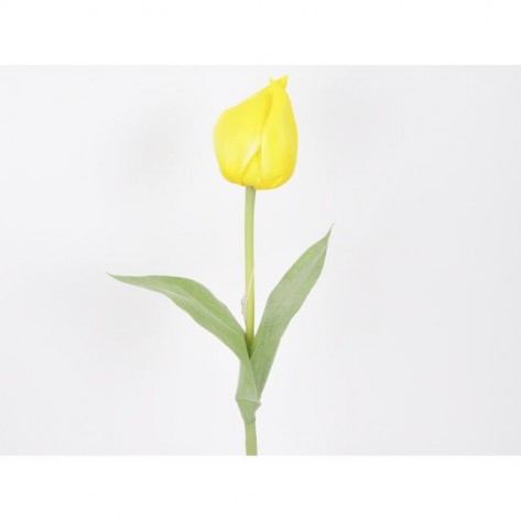 TULIPAN 46CM ŽUTI DKO