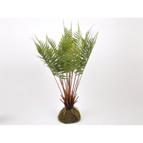 PAPRAT X18GRANA 61CM DKO