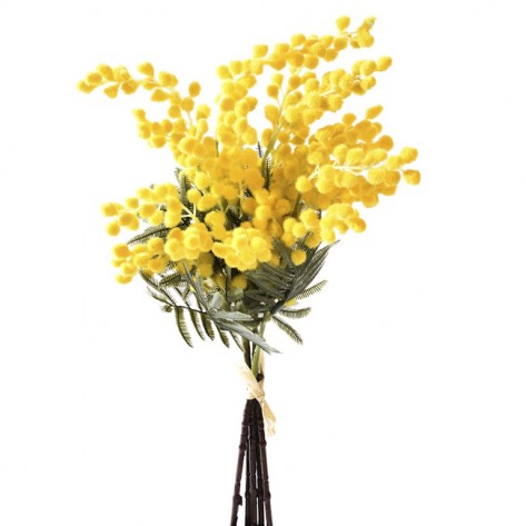 MIMOZA BUKET X5 40CM ŽUTA DKO