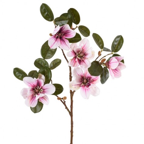 MAGNOLIJA GRANA 71CM BIJ./BORDO DKO