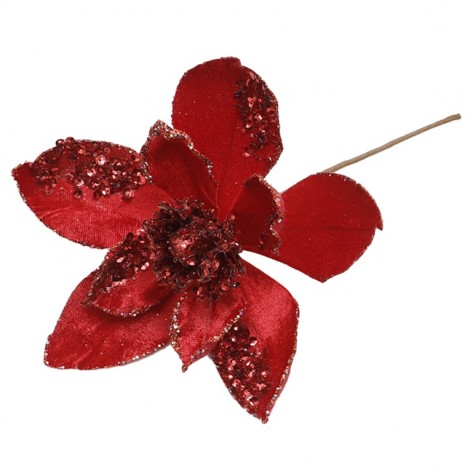 MAGNOLIJA D14CM CRV. (6) 1KOM DKO