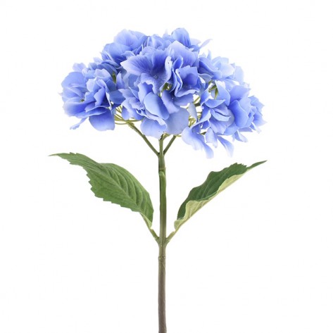HORTENZIJA GRANA 47CM PLAVA DKO