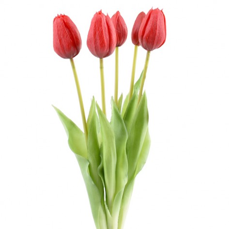 TULIPAN BUKET X5 44CM CRVEN DKO