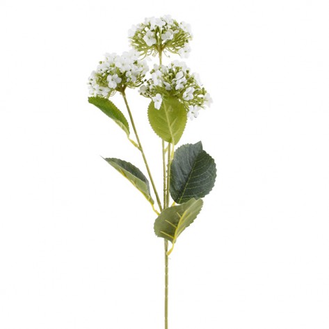 VIBURNUM GRANA 62CM X3 BIJELA DKO
