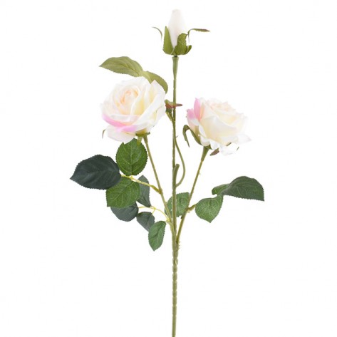RUŽA GRANA 60CM X3 KREM DKO