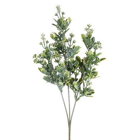 EUKALIPTUS GRANA 63CM ZEL. DKO