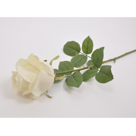 RUŽA GRANA 68CM KREM DKO