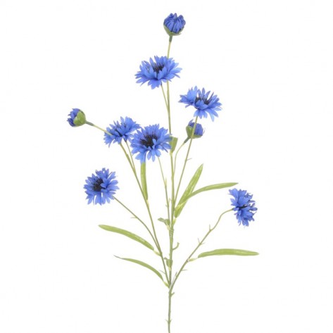 CVIJEĆE PLAVICA X6 PLAVA DKO