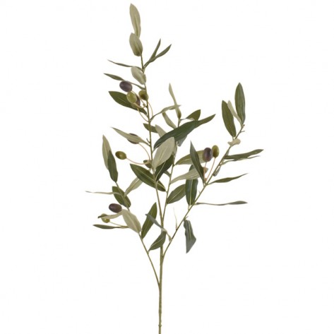 GRANA MASLINE 71CM DKO