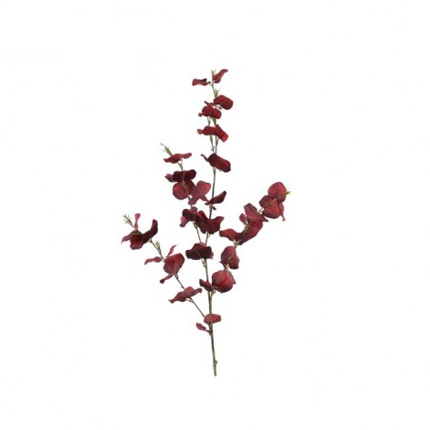 EUKALIPTUS GRANA 95CM BORDO DKO