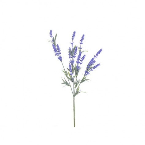 LAVANDA GRANA 65CM X4 DKO