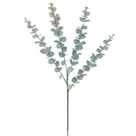 EUKALIPTUS GRANA 72CM ZEL. DKO