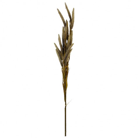 LISIČJI REP BUKET 114CM SMEĐA DKO
