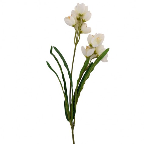 ŠAFRAN GRANA 61CM KREM DKO