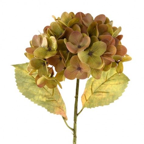 HORTENZIJA GRANA 57,9CM ZEL/ŽUTA DKO
